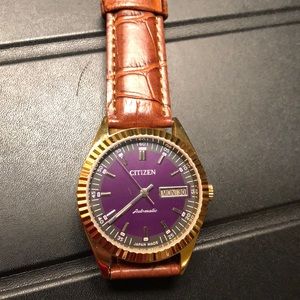 Automatic Citizen Watch